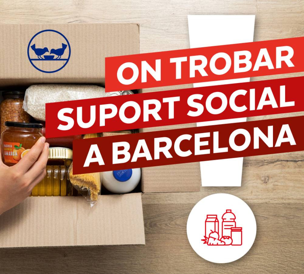 On trobar suport social a Barcelona