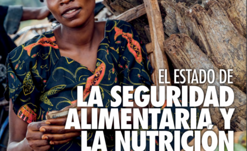 Informe FAO sobre el futuro de la alimentación en un contexto de incertidumbre económica