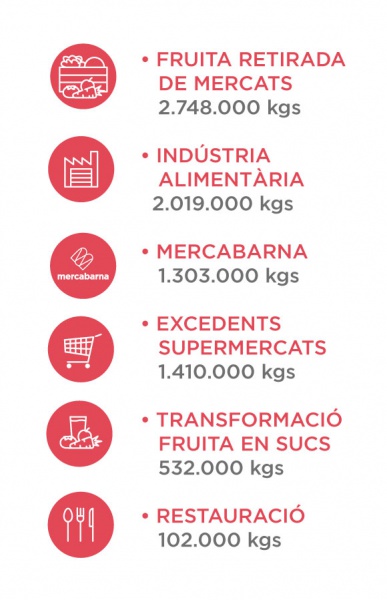 Alimentos recuperados gracias a las donaciones recibidas durante 2019