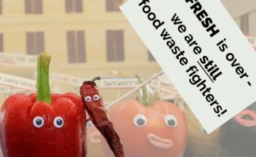 Conclusiones del programa europeo REFRESH de investigación sobre el despilfarro alimentario