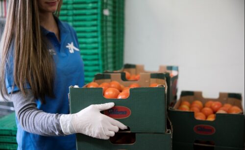 La Fundación ”la Caixa”, con el apoyo operativo de CaixaBank, recauda más de 700.000 euros para los Bancos de Alimentos de Cataluña