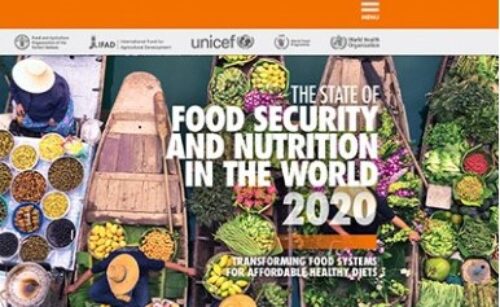 Informe SOFI 2020 sobre el estado de la alimentación y la nutrición en el mundo