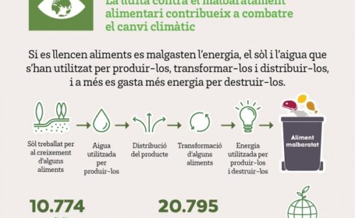 Día de la Tierra, el Banc dels Aliments también cuida del planeta a través del aprovechamiento alimentario