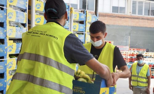 Los kilómetros que recorrió la Selección en la Eurocopa, llegan desde hoy a los Bancos de Alimentos en forma de 80.000 kg de plátanos de Canarias