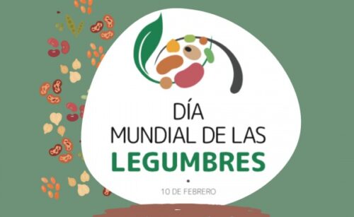 Legumechef organiza en el Banc dels Aliments un maratón de actividades culinarias para celebrar el Día Mundial de las Legumbres