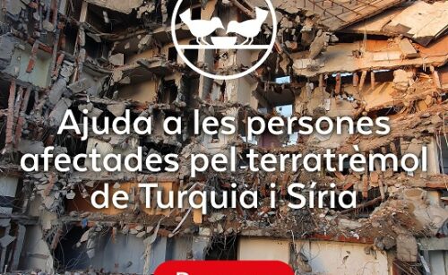 Ayuda a la población afectada por el terremoto de Turquía y Siria