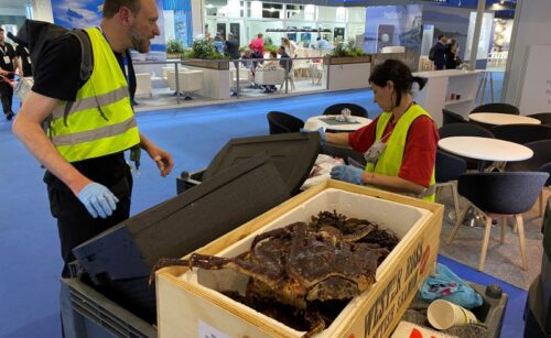 Un año más estaremos presentes en el Salón Global SeaFood Marketplace con una acción de impacto para recuperar pescado y marisco fresco y congelado